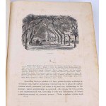 KRASZEWSKI- KARTKI Z PODRÓŻY 1858-1864 ROKU Ks. II