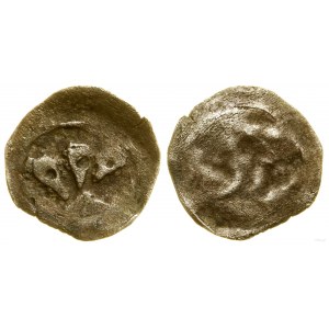 Pomorze Zachodnie, denar jednostronny, XIV w.