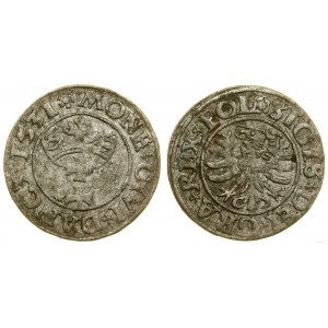 Polska, szeląg, 1531, Gdańsk
