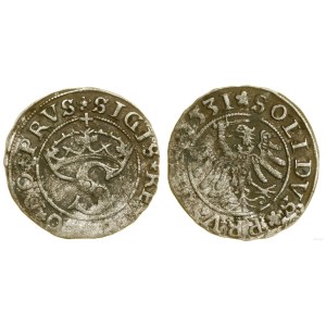 Poland, sheląg, 1531, Toruń