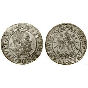 Prusy Książęce (1525-1657), grosz, 1535, Królewiec