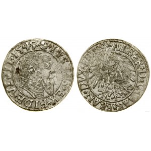 Ducal Prussia (1525-1657), penny, 1545, Königsberg
