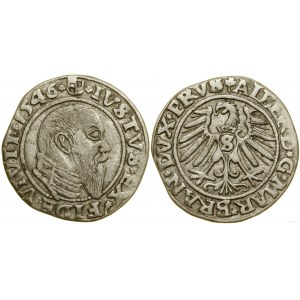 Prusy Książęce (1525-1657), grosz, 1546, Królewiec