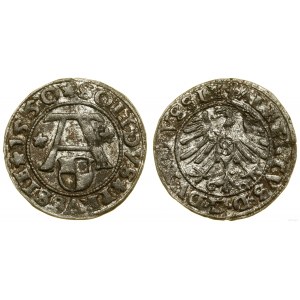 Ducal Prussia (1525-1657), shilling, 1550, Königsberg