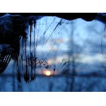Pola Babicka, Sunset - studium zachodu słońca, 2006, seria 6 fotografii