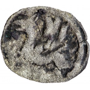 Pomorze, miasto Stargard, denar finkenauge, XV wiek