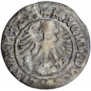 Litauen, Sigismund der Alte, halber Pfennig, 1519, m. Vilnius