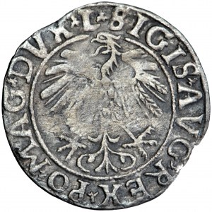 Litwa, Zygmunt August, półgroszek, 1558, men. Wilno