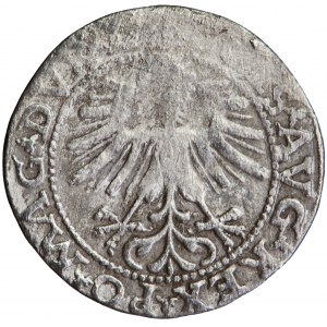 Litauen, Sigismund Augustus, Halbpfennig, 1563, m. Vilnius
