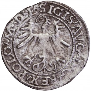 Litauen, Sigismund Augustus, Halbpfennig, 1564, m. Vilnius