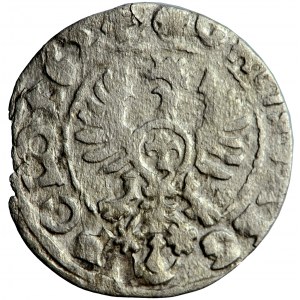 Polen, Sigismund III., Krone, Pfennig, 1624, Männer. Bromberg (Bydgoszcz)