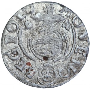 Poľsko, Žigmund III, koruna, poltorak, 1624, m. Bydgoszcz