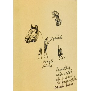 Ludwik MACIĄG (1920-2007), Analiza maści konia