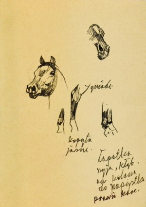 Ludwik MACIĄG (1920-2007), Analiza maści konia
