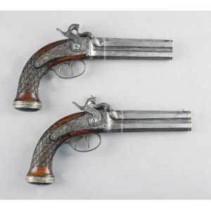 A pair of travel guns