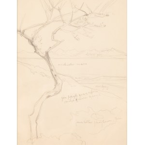 Jan Styka (1858 Lemberg - 1925 Rom), Landschaft mit einer Bucht und einem Baum