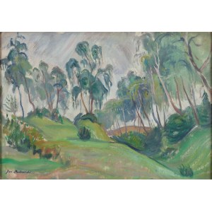 Jan Bednarski (1891 - 1956), Landschaft mit Weiden