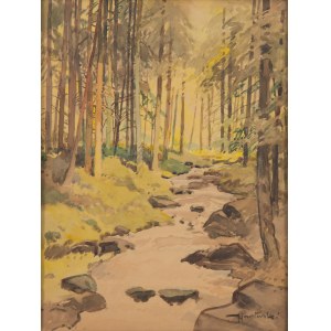 Tadeusz Nartowski (1892 Zręby bei Łomża - 1971 Szczecin), Bach im Wald