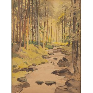 Tadeusz Nartowski (1892 Zręby near Łomża - 1971 Szczecin), A stream in the forest
