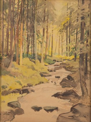 Tadeusz Nartowski (1892 Zręby k. Łomży - 1971 Szczecin), Strumień w lesie