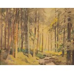 Tadeusz Nartowski (1892 Zręby near Łomża - 1971 Szczecin), A stream in the forest