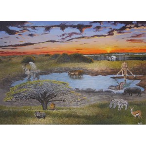 Katarzyna Meres, African waterhole, 2015