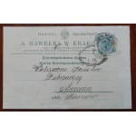 Krakau: Vom Handel unter der Palme zur Hawełka in Krakau