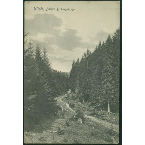 1 - Wisła - Dolina Gościejowska, Nakł. Maurycy Roth, Wisła, 1914