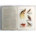 Atlas państwa zwierzęcego według Kurta Lamperta; opracował B. Dyakowski.
