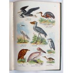 Atlas państwa zwierzęcego według Kurta Lamperta; opracował B. Dyakowski.