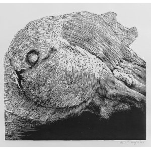 Stanislaw Baj, Pigs, 1978/2019