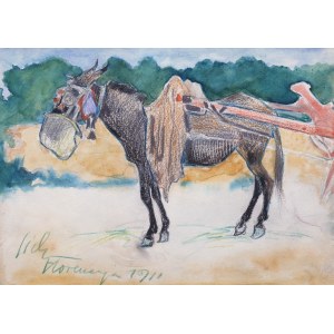 Kazimierz Sichulski (1879 Lviv - 1942 there), Donkey, 1911