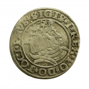 Zygmunt I Stary, Grosz 1531, Toruń - PRVS/PRVSS (422)