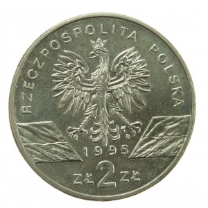 III RP, 2 złote 1995, Sum (25)
