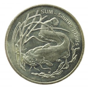 III RP, 2 złote 1995, Sum (26)