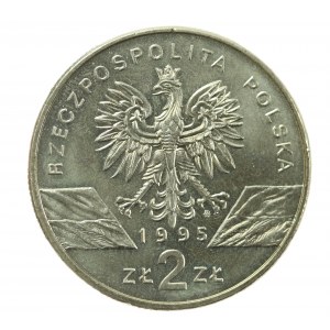 III RP, 2 złote 1995, Sum (26)
