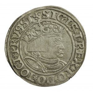 Zygmunt I Stary, grosz 1532, Toruń - PRVSSI/PRVSS (52)