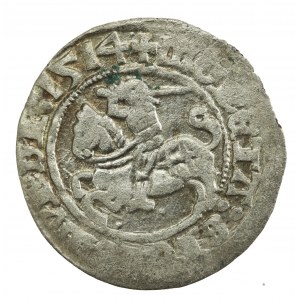 Zygmunt I Stary, Półgrosz 1514, Wilno (724)