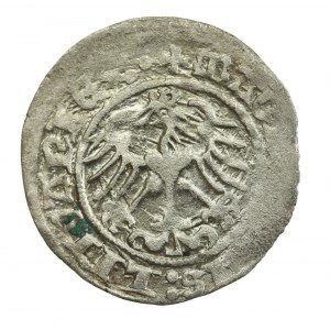 Zygmunt I Stary, Półgrosz 1514, Wilno (724)