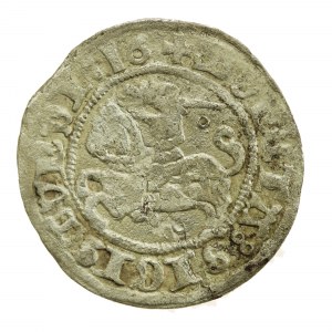 Zygmunt I Stary, Półgrosz 1516, Wilno (754)