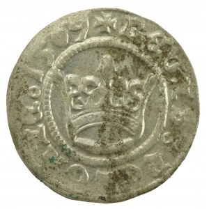 Zygmunt I Stary, półgrosz koronny 1509, Kraków (767)