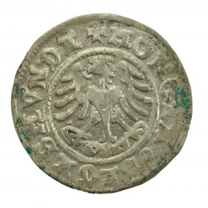 Zygmunt I Stary, półgrosz koronny 1509, Kraków (767)