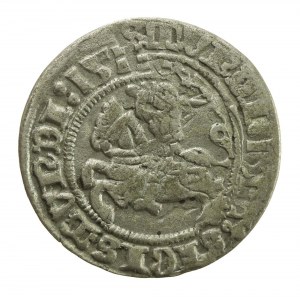 Zygmunt I Stary, Półgrosz 1511, Wilno (581)