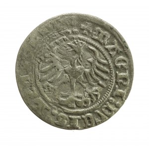 Zygmunt I Stary, Półgrosz 1511, Wilno (581)