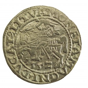 Zygmunt II August, Półgrosz 1552 Wilno, LI / LITVA (862)