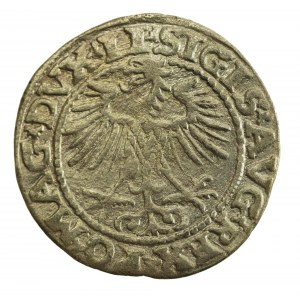 Zygmunt II August, Półgrosz 1552 Wilno, LI / LITVA (862)