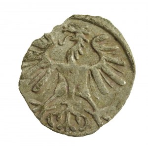 Zygmunt II August, Denar 1554, Wilno (874)