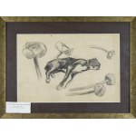 Stanislaw KAMOCKI (1875-1944), Sketches of a sleeping dog and flower buds