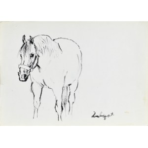 Ludwik MACIĄG (1920-2007), Horse Delegate.