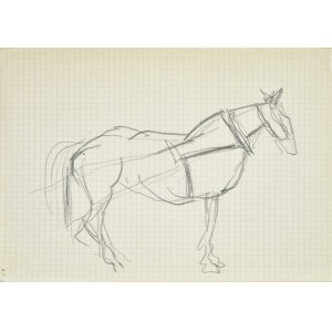 Jerzy PANEK (1918-2001), A horse in harness